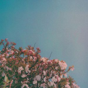 2025小明永远免费观看完整版高清
